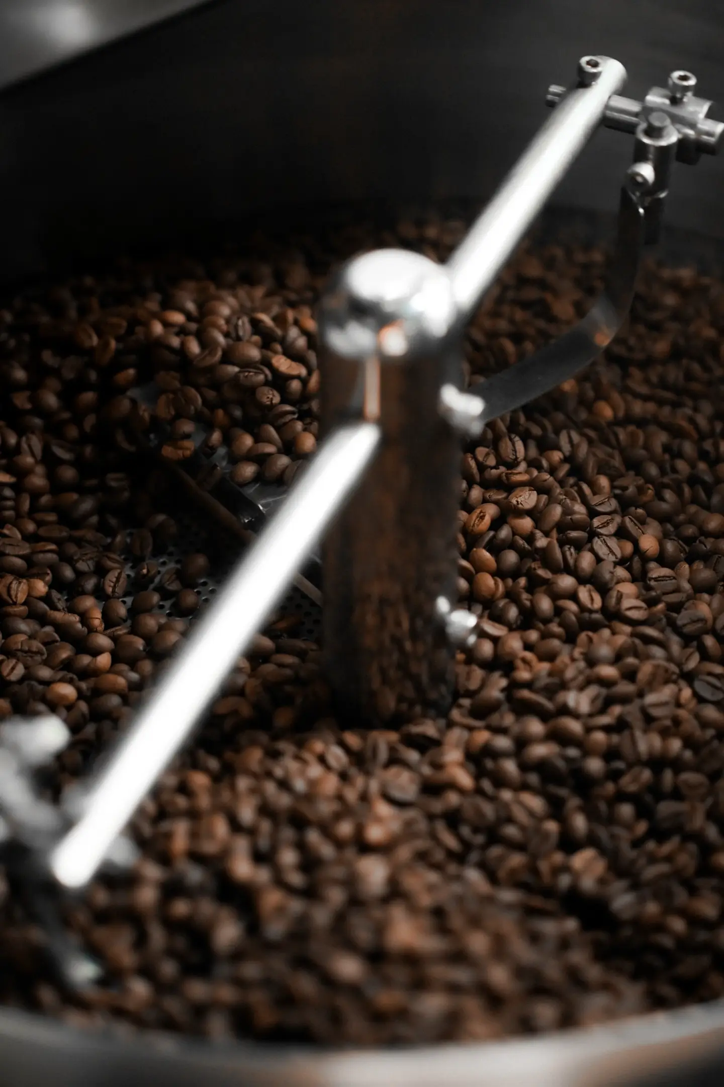 Barista menyiapkan kopi premium